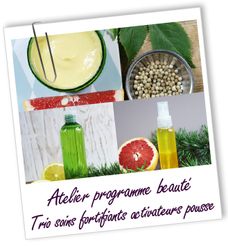 Atelier Programme beauté - TRIO DE SOINS CAPILLAIRES FORTIFIANTS ET ACTIVATEURS DE POUSSE - Aroma-Zone Atelier Programme beauté - TRIO DE SOINS CAPILLAIRES FORTIFIANTS ET ACTIVATEURS DE POUSSE - Aroma-Zone