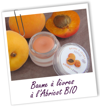 Baume à lèvres BIO au karité et à l' ABRICOT Aroma-Zone Baume à lèvres BIO au karité et à l' ABRICOT Aroma-Zone