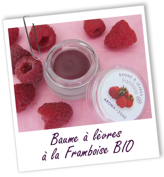 Baume à lèvres BIO au karité et à la FRAMBOISE Aroma-Zone Baume à lèvres BIO au karité et à la FRAMBOISE Aroma-Zone