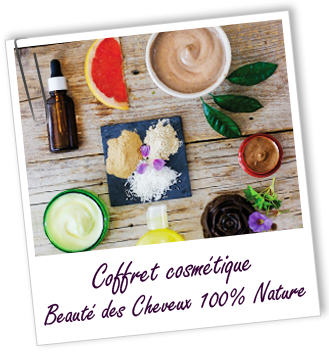 Coffret cosmétique maison Beauté des cheveux 100% nature Aroma-Zone Coffret cosmétique maison Beauté des cheveux 100% nature Aroma-Zone