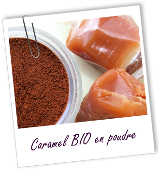 Colorant végétal Caramel BIO en poudre Aroma-Zone Colorant végétal Caramel BIO en poudre Aroma-Zone