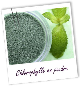 Colorant végétal Chlorophylle en poudre Aroma-Zone