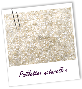 Nacre minérale Paillettes naturelles Aroma-Zone Nacre minérale Paillettes naturelles Aroma-Zone