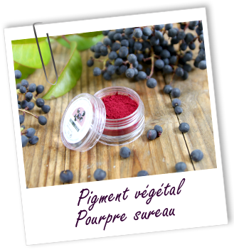 Pigment végétal Pourpre Sureau Aroma-Zone Pigment végétal Pourpre Sureau Aroma-Zone
