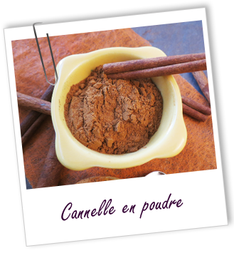 Coloration & Soin capillaire Cannelle de Ceylan BIO en poudre Coloration & Soin capillaire Cannelle de Ceylan BIO en poudre