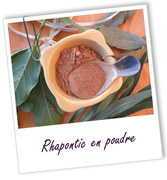 Coloration & Soin capillaire Rhapontic Aroma-Zone Coloration & Soin capillaire Rhapontic Aroma-Zone