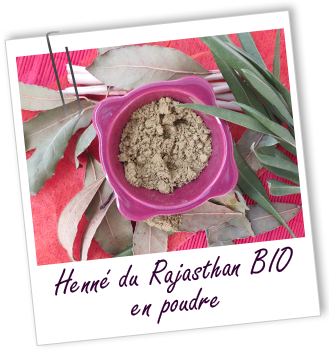Colorant capillaire végétal Henné du Rajasthan BIO Aroma-Zone