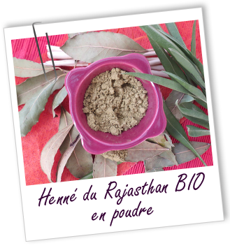 Colorant capillaire végétal Henné du Rajasthan BIO Aroma-Zone Colorant capillaire végétal Henné du Rajasthan BIO Aroma-Zone