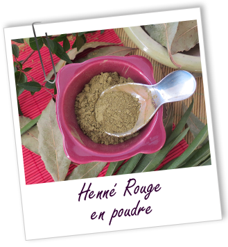 Coloration & Soin capillaire Henné rouge du Yémen Aroma-Zone Coloration & Soin capillaire Henné rouge du Yémen Aroma-Zone