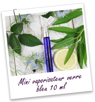Mini-vaporisateur en verre coloré bleu 10 ml Aroma-Zone Mini-vaporisateur en verre coloré bleu 10 ml Aroma-Zone