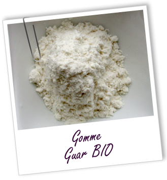 Gomme Guar BIO Aroma-Zone Gomme Guar BIO Aroma-Zone
