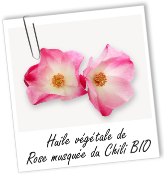 Huile végétale Rose Musquée du Chili BIO Aroma-Zone Huile végétale Rose Musquée du Chili BIO Aroma-Zone