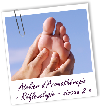 ATELIER RÉFLEXOLOGIE NIVEAU 2 - STRESS SOMMEIL DOULEURS - Aroma-Zone ATELIER RÉFLEXOLOGIE NIVEAU 2 - STRESS SOMMEIL DOULEURS - Aroma-Zone