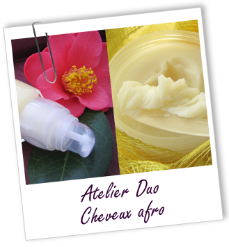 Atelier Duo - CHEVEUX Afro -14-27- Aroma-Zone