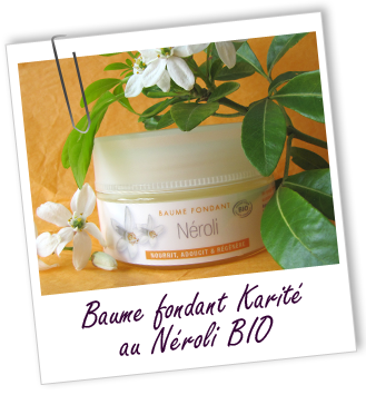 Baume fondant BIO au Karité et au NéROLI Aroma-Zone Baume fondant BIO au Karité et au NéROLI Aroma-Zone
