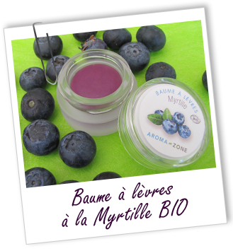 Baume à lèvres BIO au karité et à la MYRTILLE Aroma-Zone Baume à lèvres BIO au karité et à la MYRTILLE Aroma-Zone