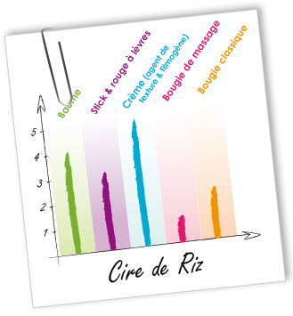Cire Riz Aroma-Zone Cire Riz Aroma-Zone