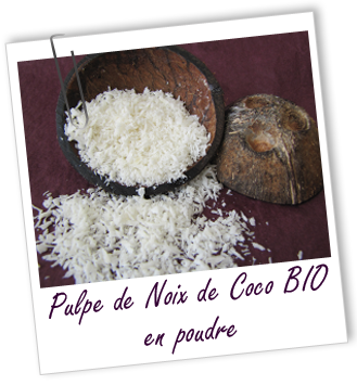 Exfoliant Pulpe de Noix de Coco BIO Aroma-Zone Exfoliant Pulpe de Noix de Coco BIO Aroma-Zone