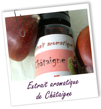 Extrait aromatique naturel Marron glacé Aroma-Zone Extrait aromatique naturel Marron glacé Aroma-Zone