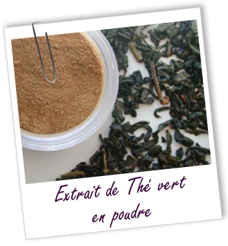 Extrait Thé vert en poudre Aroma-Zone Extrait Thé vert en poudre Aroma-Zone