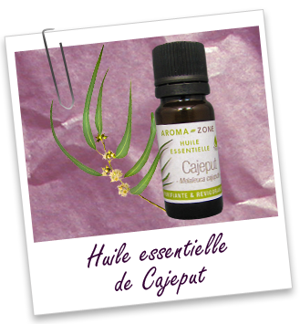 Huile essentielle Cajeput BIO Aroma-Zone Huile essentielle Cajeput BIO Aroma-Zone