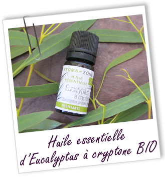 Huile essentielle Eucalyptus à cryptone BIO Aroma-Zone