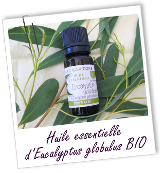 Huile essentielle Eucalyptus globulus BIO Aroma-Zone