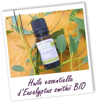 Huile essentielle Eucalyptus smithii BIO Aroma-Zone Huile essentielle Eucalyptus smithii BIO Aroma-Zone