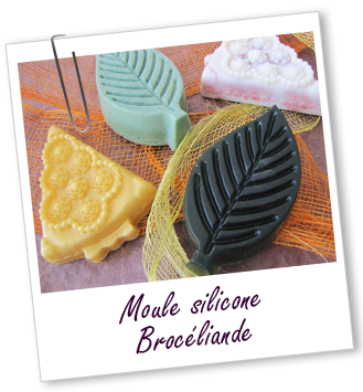 Moule en silicone Moule en silicone