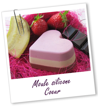 Moule en silicone Moule en silicone