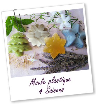 Moule en silicone Moule en silicone