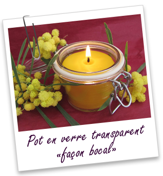 Pot en verre façon bocal 120 ml Aroma-Zone Pot en verre façon bocal 120 ml Aroma-Zone