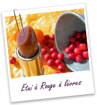 Etui rouge à lèvres vide gris givré Aroma-Zone Etui rouge à lèvres vide gris givré Aroma-Zone