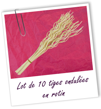 Tiges ondulées en rotin (lot de 10) Aroma-Zone Tiges ondulées en rotin (lot de 10) Aroma-Zone
