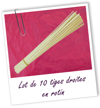Tiges droites en rotin (lot de 10) Aroma-Zone Tiges droites en rotin (lot de 10) Aroma-Zone