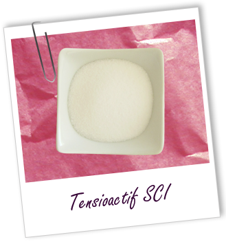 Tensioactif SCI Aroma-Zone Tensioactif SCI Aroma-Zone