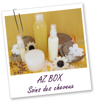 Coffret cosmétique maison - AZ BOX SOINS CHEVEUX 2012 Aroma-Zone
