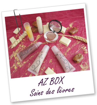 Coffret cosmétique maison - AZ BOX SOINS DES LèVRES 2012 Aroma-Zone Coffret cosmétique maison - AZ BOX SOINS DES LèVRES 2012 Aroma-Zone