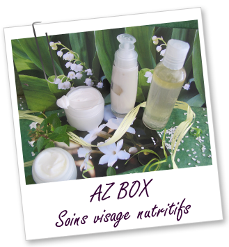 Coffret cosmétique maison - AZ BOX SOINS VISAGE NUTRITIFS 2012 Aroma-Zone Coffret cosmétique maison - AZ BOX SOINS VISAGE NUTRITIFS 2012 Aroma-Zone