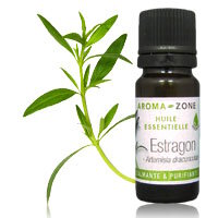 Huile essentielle
Estragon