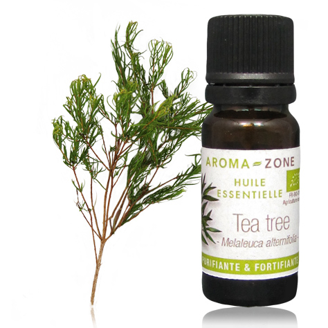 L’huile essentielle de Tea Tree