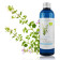 Hydrolat de Sarriette de Provence