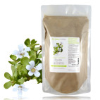 Plante ayurvÃ©dique Brahmi poudre