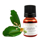 Huile végétale - Dosette Calophylle BIO** - 10 ML